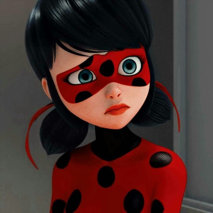 Ladybug